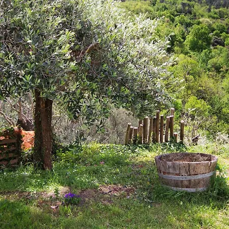 Casa Levi Holiday home *